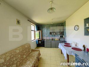 Casă cu 4 camere, 8700 mp teren cu livadă, zona Ighiu - Țelna - imagine 7