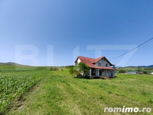 Casă cu 4 camere, 8700 mp teren cu livadă, zona Ighiu - Țelna - imagine 3