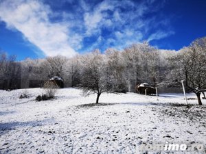 Afacere la cheie in Muntii Apuseni - imagine 6