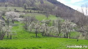 Casa individuala, 5500 mp teren, zona Vintu de Jos, Inuri - imagine 4