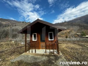 Teren intravilan cu căbănuță, 3797 mp, zona Valea Mănăstirii Râmeț - imagine 7