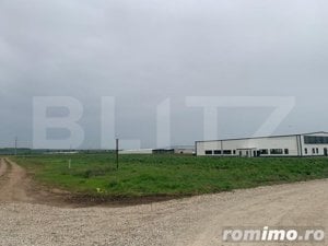 Teren intravilan, 41000 cu PUZ pentru hala, zona Alba-Sebes langa A1 - imagine 3