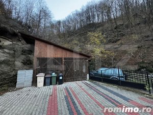 Casă cu 240mp utili, teren, 955 mp zona Mărtinie - Transalpina - imagine 10