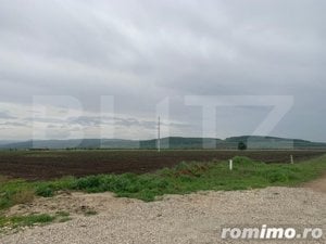 Teren intravilan, 41000 cu PUZ pentru hala, zona Alba-Sebes langa A1 - imagine 2