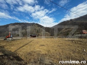 Teren intravilan cu căbănuță, 3797 mp, zona Valea Mănăstirii Râmeț - imagine 5