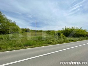 Teren intravilan 7774 mp, zona Teiuș - Stremț - imagine 3