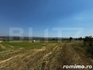 Teren extravilan pentru recreere, 3000 mp, zona Paclisa - Alba Iulia - imagine 2