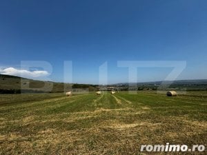 Teren extravilan pentru recreere, 3000 mp, zona Paclisa - Alba Iulia - imagine 3