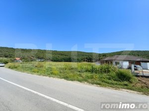 Teren intravilan, 4900 mp, zona Hăpria - Ciugud - imagine 6