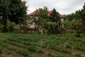 Casa de vanzare in Baiculesti,judetul Arges - imagine 2