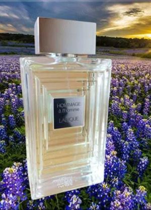 Vand parfum Lalique Hommage a l'Homme