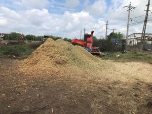 Gazonare prin insamatare preturi incepand de la 1 e  mp - imagine 5