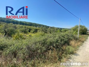 Teren intravilat Predesti,Valea merilor, investitie 5492mp - imagine 3