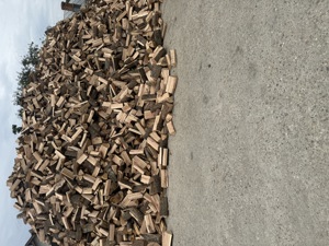 Lemn de foc esenta tare - imagine 2