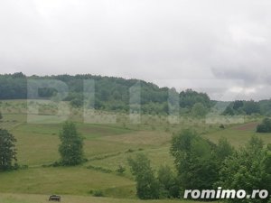 Casa cu teren de 65000 mp in Bratca, zona turistica - imagine 8