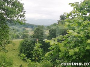 Casa cu teren de 65000 mp in Bratca, zona turistica - imagine 6