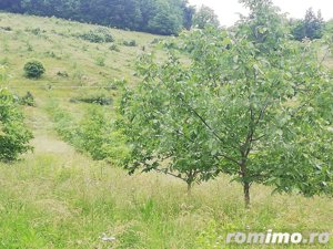 Casa cu teren de 65000 mp in Bratca, zona turistica - imagine 7