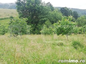 Casa cu teren de 65000 mp in Bratca, zona turistica - imagine 4