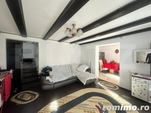 Casa 3 camere , regim P+M 100 mp , Ultracentral - imagine 9