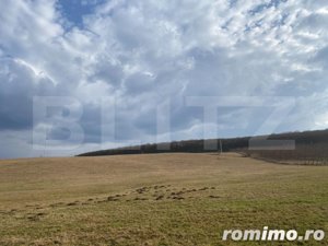 Teren de 45.750 mp, Sângeorgiu de Mures - imagine 2