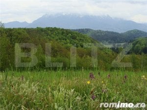 Teren superb - Poiana  Marului - Panorama Bucegi, Piatra Craiului - 11603mp - imagine 2