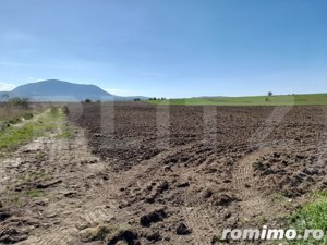 TEREN Extravilan 15000 MP în Zona Codlea  - imagine 3