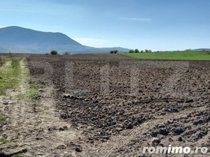 TEREN Extravilan 15000 MP în Zona Codlea  - imagine 4