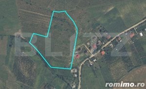 Teren intravilan de 3,6 ha, Tomesti