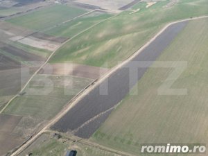 Teren de 4.5ha pretabil pentru panouri fotovoltaice, Dobrovat - imagine 5