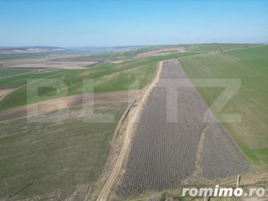 Teren de 4.5ha pretabil pentru panouri fotovoltaice, Dobrovat - imagine 4