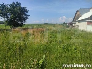 Casa + teren 3800mp, Satu mare, jud Suceava - imagine 5