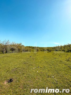 Teren extravilan, 5000mp, 26ml - la 3 km de Fălticeni - imagine 2