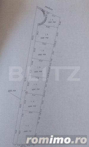Oportunitate!Teren intravilan ,7552 mp parcelabil , drum de 7m , Lisaura - imagine 2