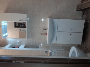 Vinzare garsoniera Dovalii - imagine 5