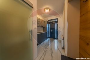 Apartament 1 camera si nisa de dormit de închiriat. Ultracentral - imagine 8