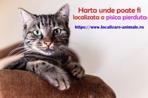 Harta nationala cu localizare pentru animale pierdute - imagine 4
