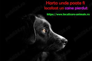 Harta nationala cu localizare pentru animale pierdute - imagine 2
