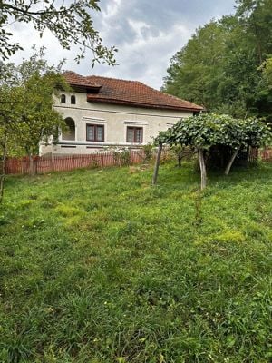 Casa și 3900 mp teren Argeș,1h 30  fata de București, Băilești,Poienita complet în mijlocul naturii  - imagine 4