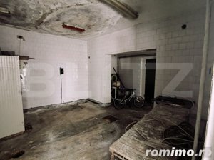 Proprietate pretabila activități comerciale, stradal, 375 mp teren, zona BILLA - imagine 10