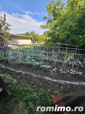 Casa in viisoara, ANL-uri peste calea ferata, 120mp utili, teren 17 ari - imagine 4