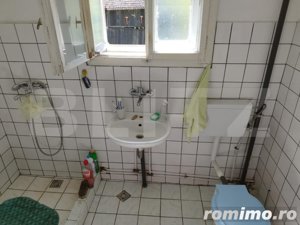 Casa pitoreasca în Viile Tecii cu o grădina de 26 de arii  - imagine 4