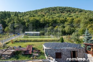 Casa superba de vacanta cu lac de pesti, in comuna Livezile - imagine 17