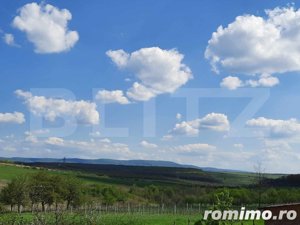 Casa/Vila de vanzare / posibil  Pensiune ,cu view și pădure la colțul străzii - imagine 10