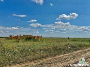 Teren 64 de parcele de vanzare    Teren de investitie   Frumusani   Calarasi