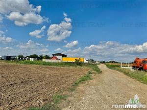 Oferta speciala   Teren de vanzare in Frumusani - imagine 2 Oferta speciala   Teren de vanzare in Frumusani - imagine 2