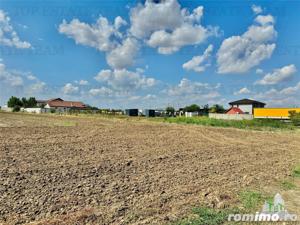 Oferta speciala luna aceasta    Teren de vanzare   2500 mp in Frumusani