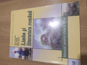 Manual Limba și literatura română pentru clasa a XI-a - Adrian Costache