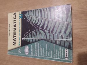 Petre Nachila - Matematica. Manual pentru clasa a XI-a. M2