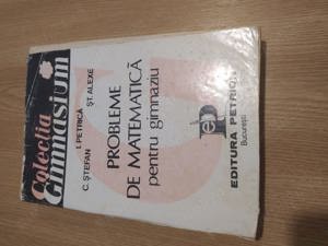 Ion Petrică - Probleme de matematică pentru gimnaziu 