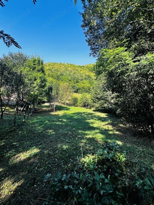 Teren intravilan la munte, intre Buru si Rimetea,  zona de cabane - imagine 4